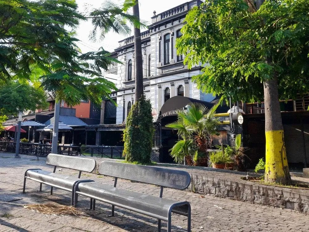View of Avenida Chapultepec with a small park, surrounded by trees and bustling city life